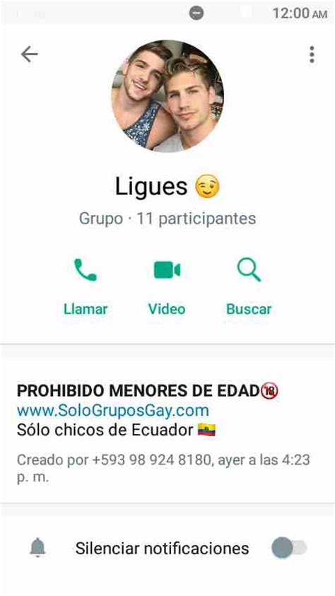 gay por telefono|Mejores números locales de la Línea Chat Gay gratis